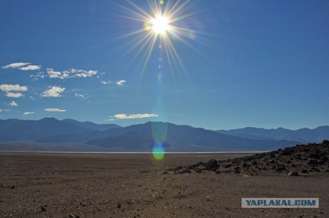 Ford Mustang напрокат