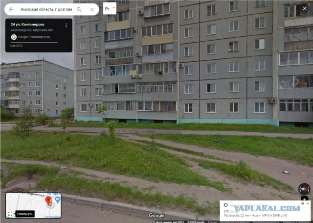 Пятничные улыбательные картинки