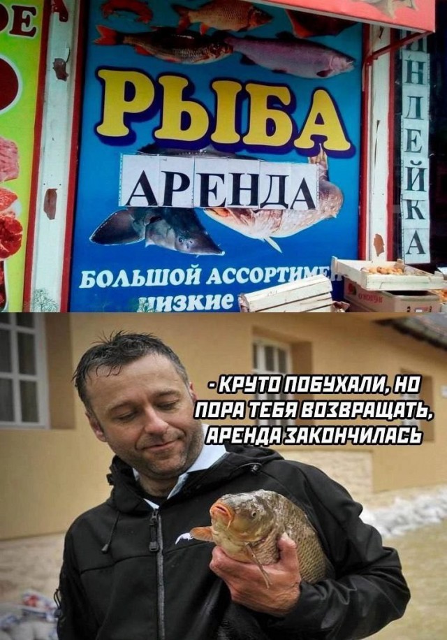 Разножанровые картинки. Без определённого смысла