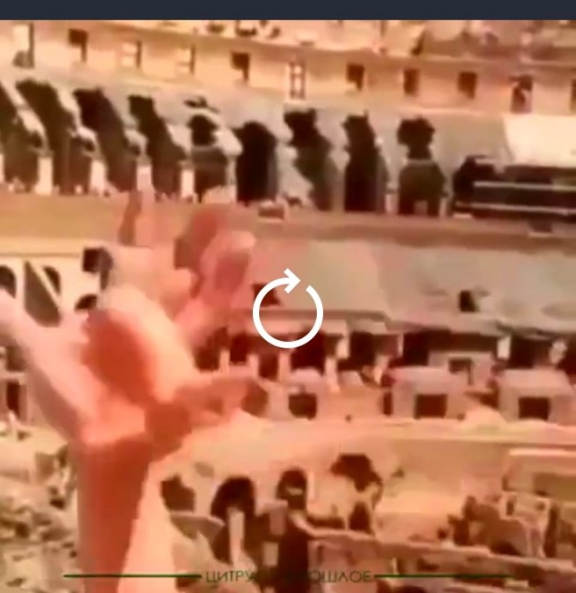 Гладиолусы, бл**ь!