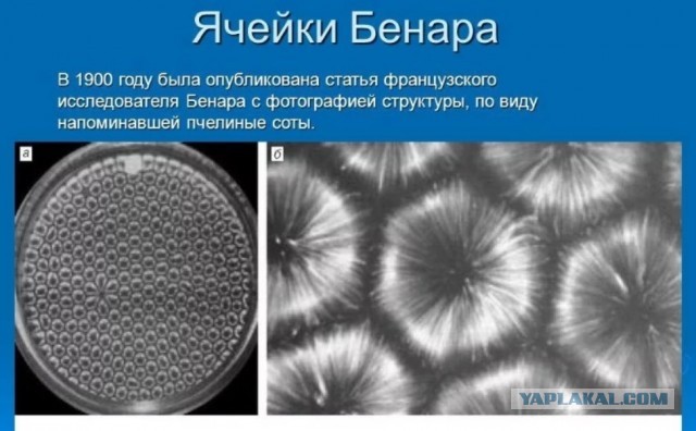 Как проверить - настоящий мёд или нет?