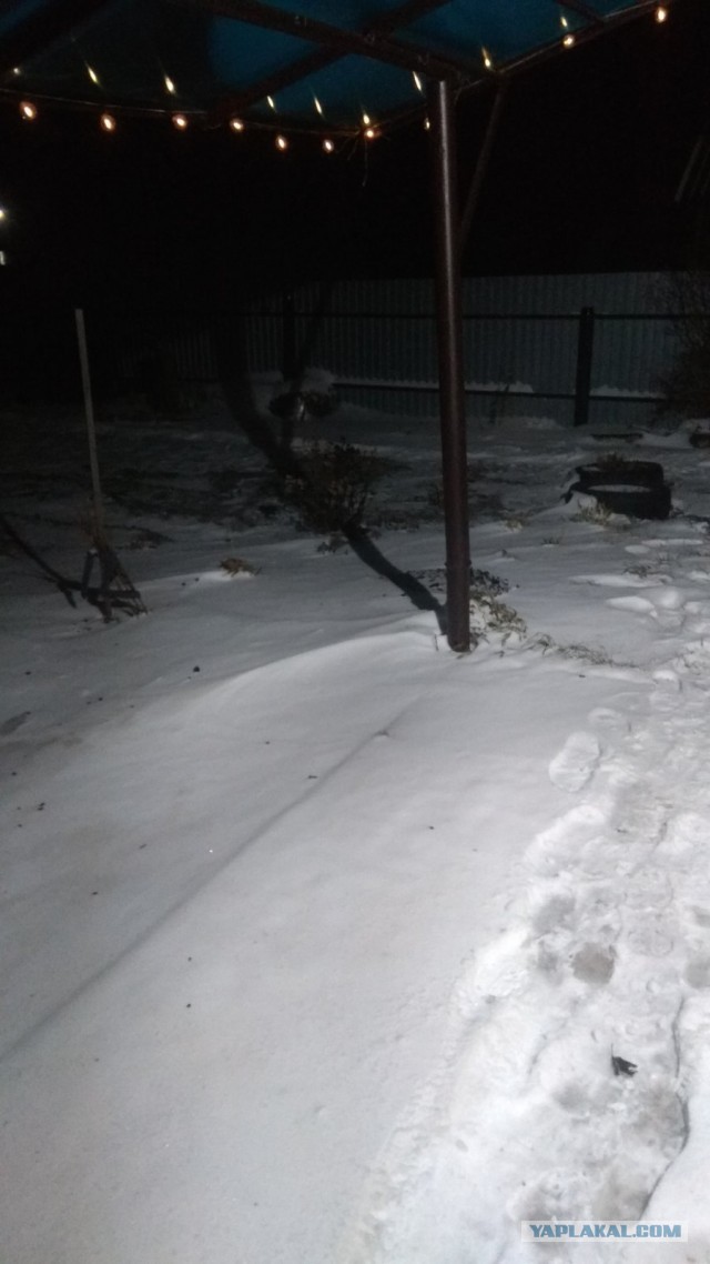 Ну вот и началась...