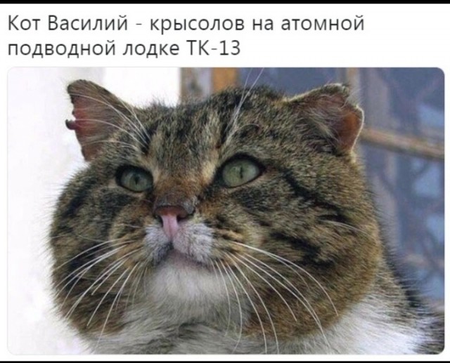 Картинки вечером в четверг