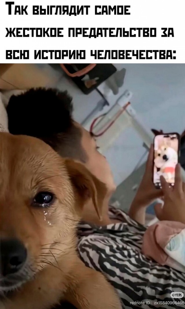 Так себе картинки 16.02.25