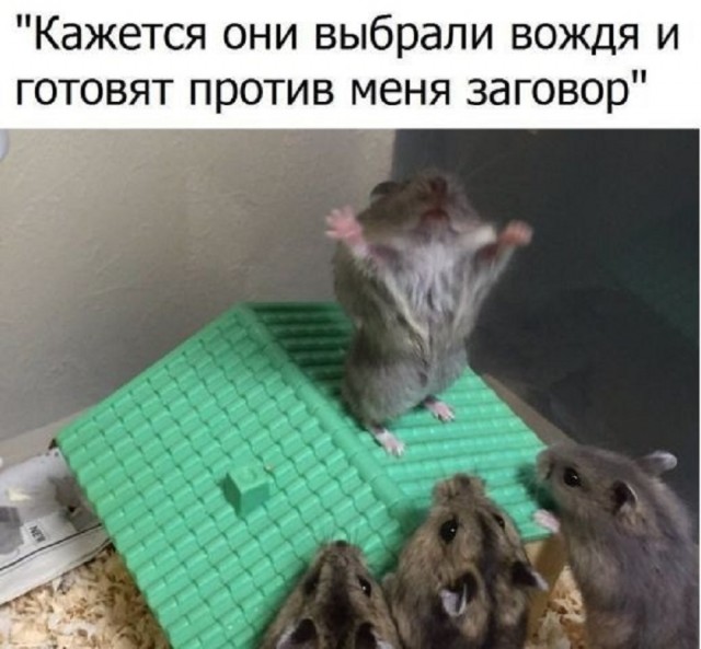 Так себе картинки 30.03.25