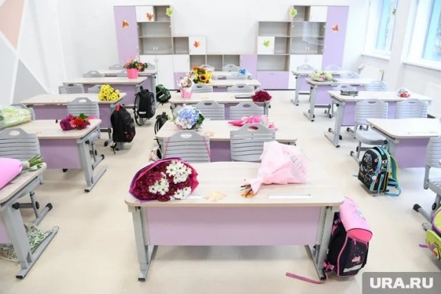 "Нервы и ночь без сна": жительница Екатеринбурга заявила о сбое во время записи в школу