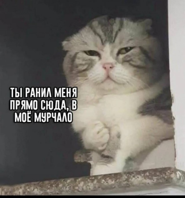 Как мужчины выпивку от жен прячут и втайне от них выпивают
