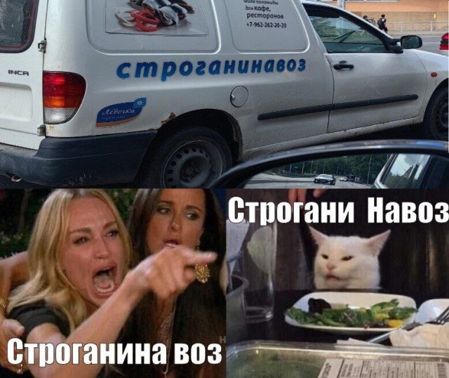 Строгани братуха строгани