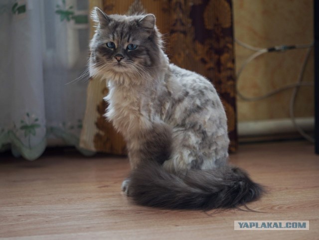 Когда-нибудь они встретят нас...наверное.