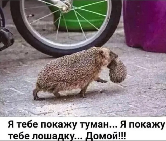 Завалялось тут случайно немного забавных картинок