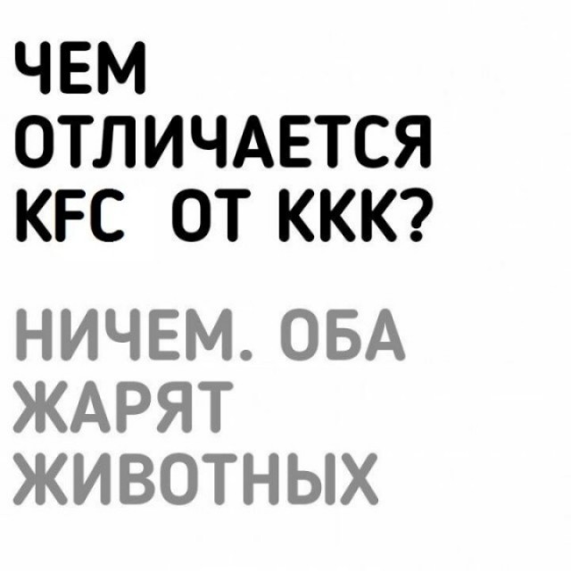 Пятничная дичь