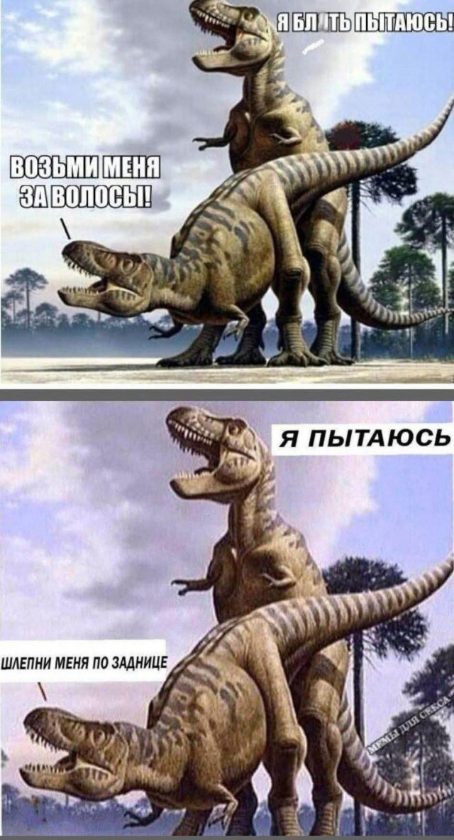 Маленькая пятница 9.07