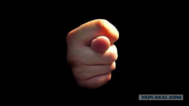 Смотрю в книгу-вижу фигу..