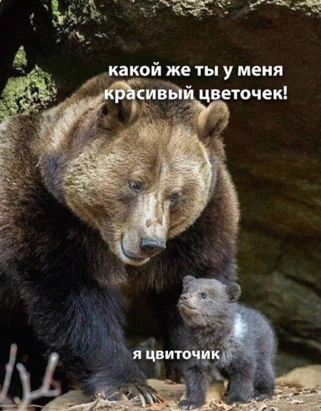 Так себе картинки 10.08.25