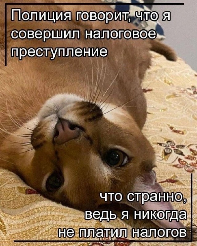 Так себе картинки 24.08.25