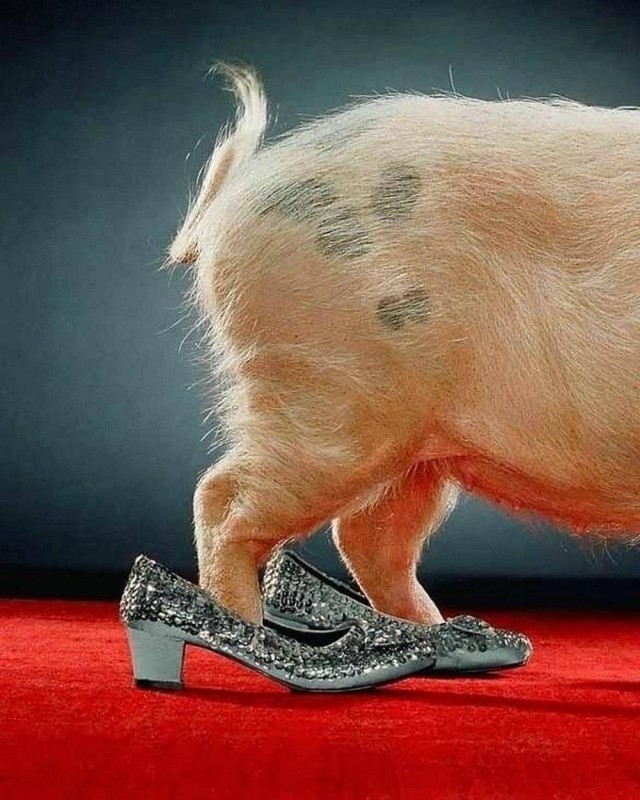 Ебейшей ебанины псто