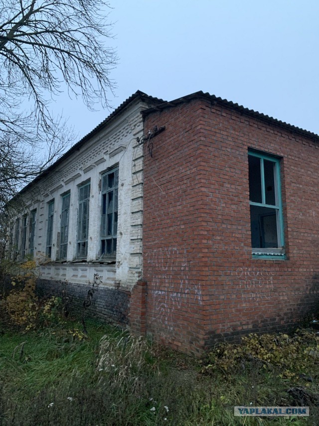 Мои предпринимательские истории. Глава 7. Особенности строительства международной Компании в первом полугодии 2022 года.