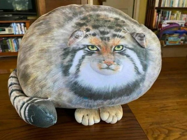 Эх пятницо картинки же