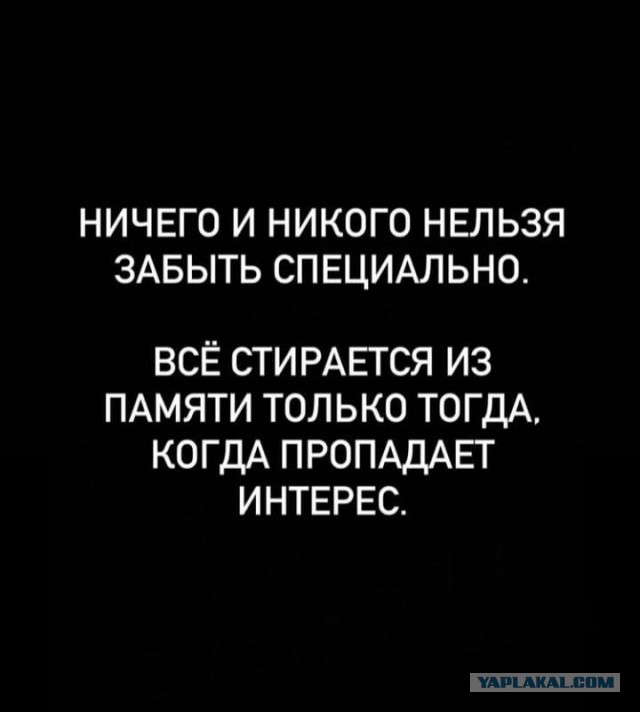 Так себе картинки 15.11.25