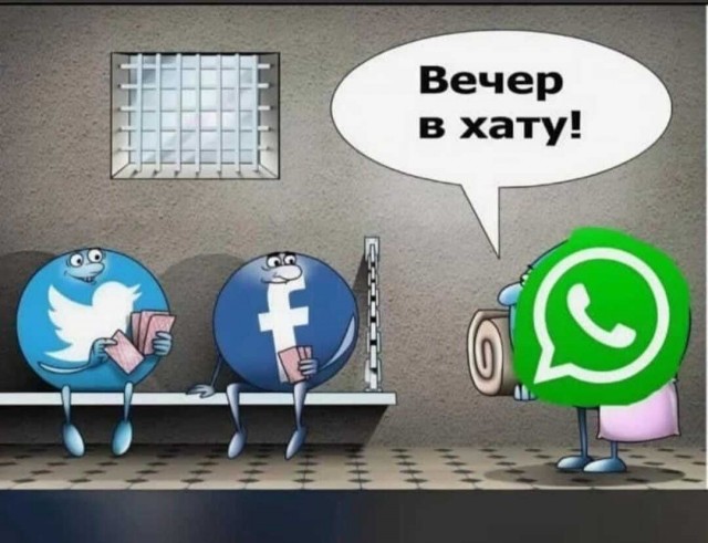 В Госдуме рассказали, почему процесс блокировки WhatsApp* ускорили