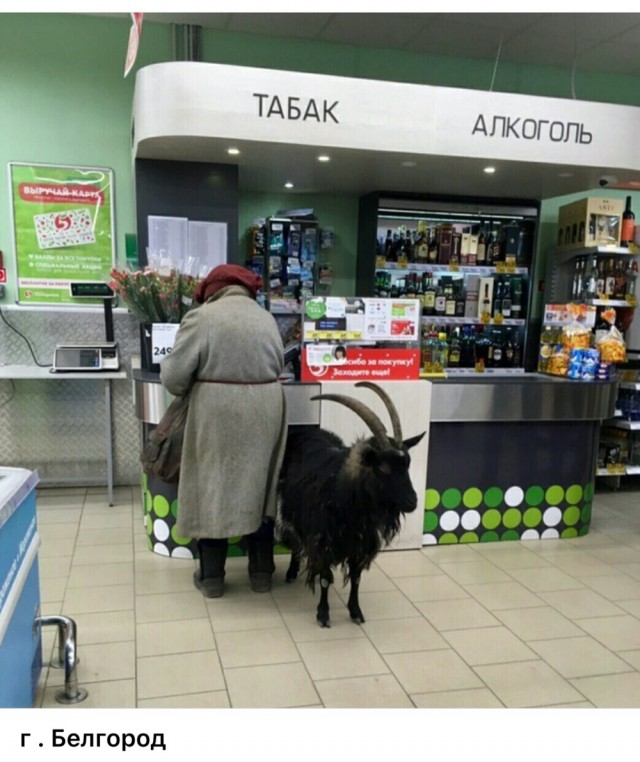 Пятницы картинки