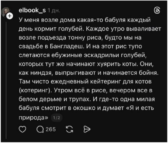 Так себе картинки 02.01.26
