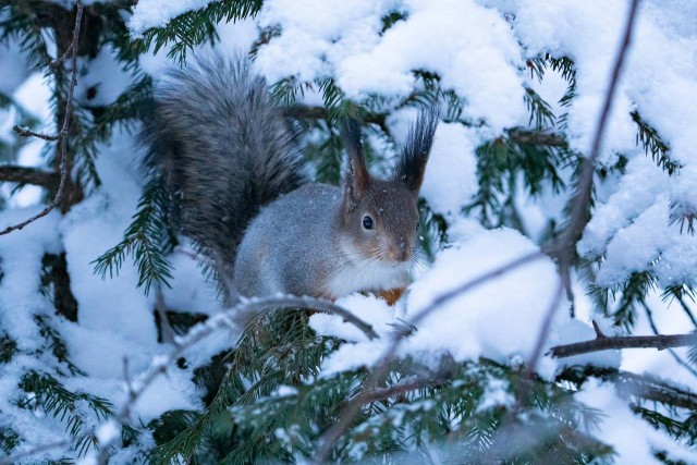 Хочется волшебства?  Оно вокруг