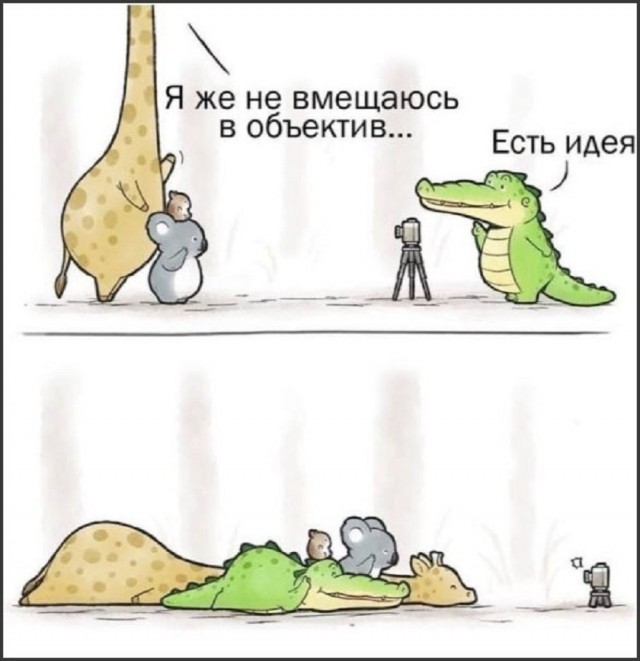 Так себе картинки 10.02.26