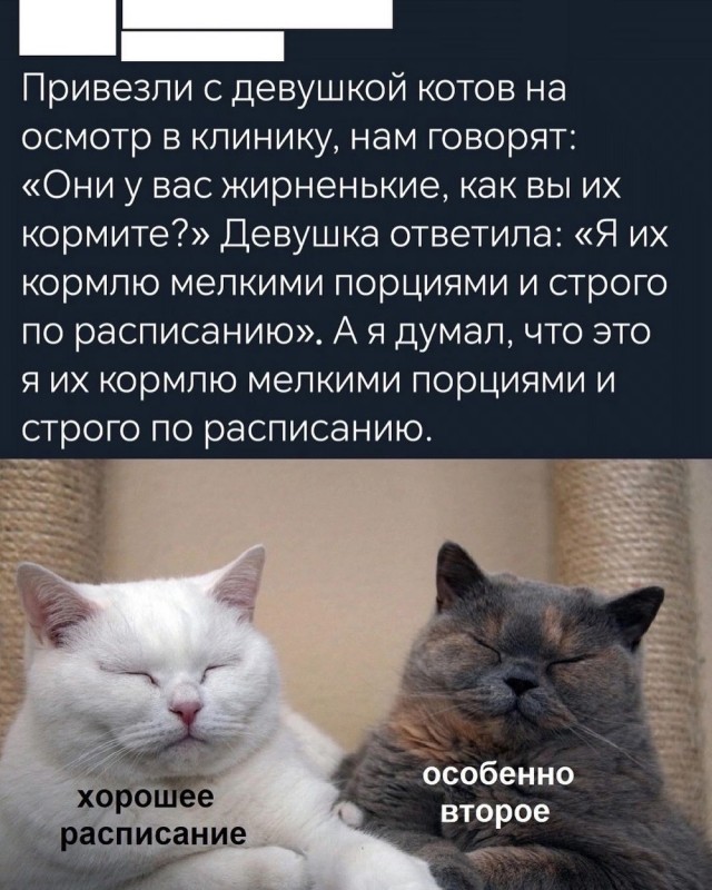 Деградация