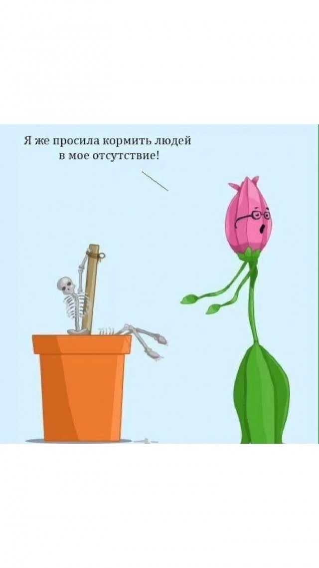 Аспарагусы