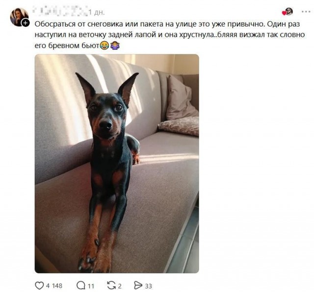 Истинные потомки волков!