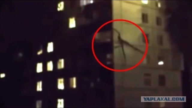 *БАЯН*Подтанцовка Пашкета на отдыхе