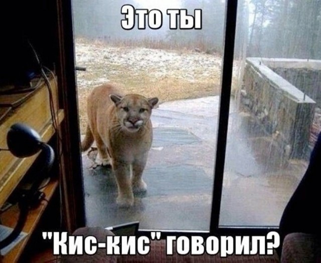 Так себе картинки 01.09.26