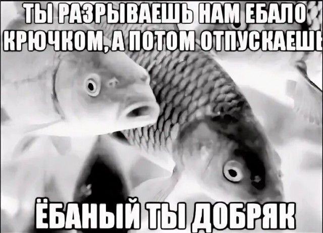 Понедельник день тяжёлый , идём на рыбалку