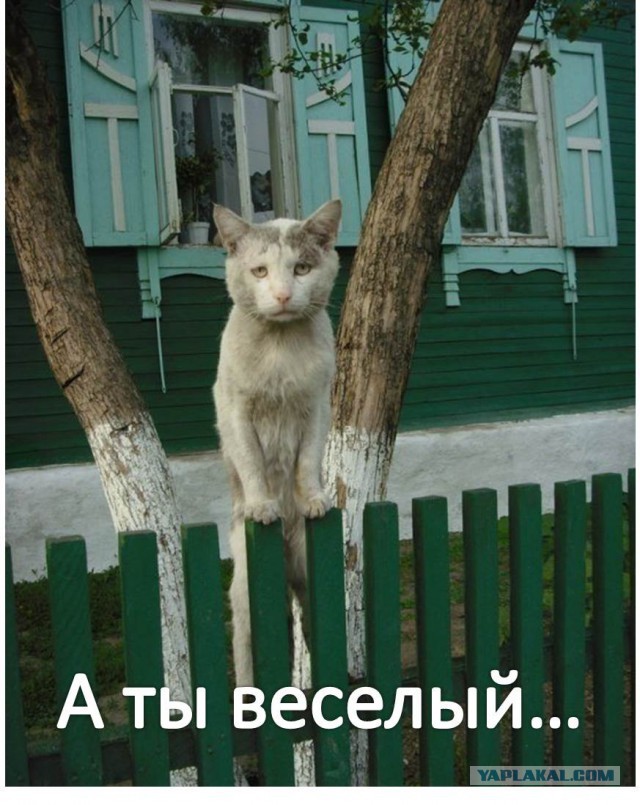 Маньячина)