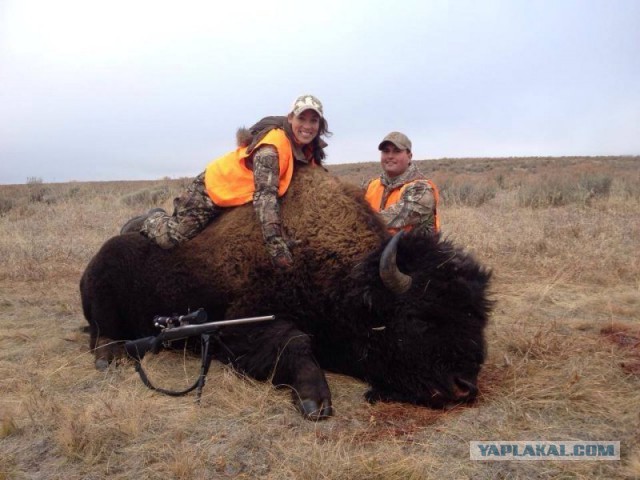 Самый трусливый поступок