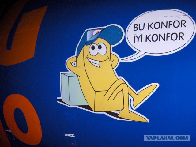 Как я в Англии практику проходил.