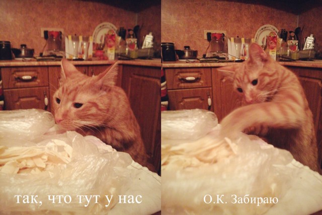 Не про олимпиаду