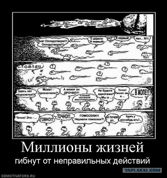 В порноиндустрии появилась своя "Фабрика звезд"