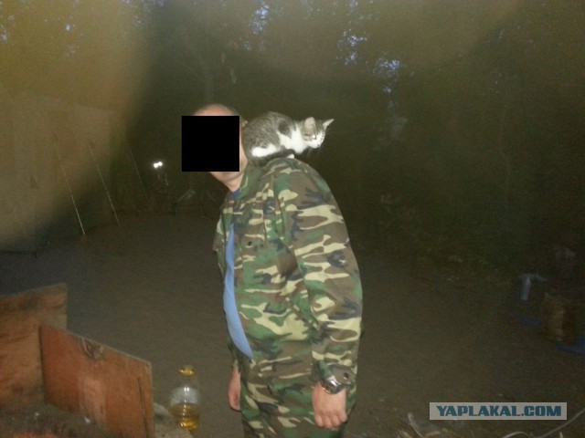 Отчёт о рыбалке на Волге.