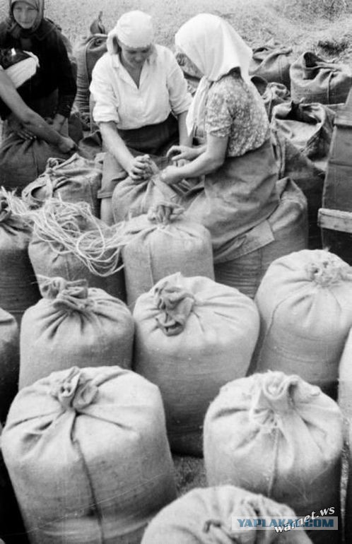 Быт украинского села начала 50-х годов