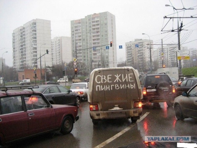 Надписи на авто.