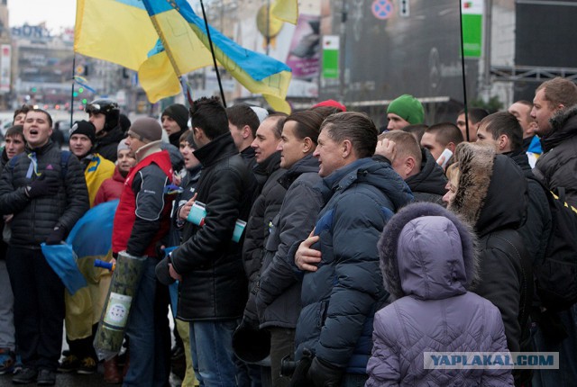 Это они выскакали десятки тысяч трупов