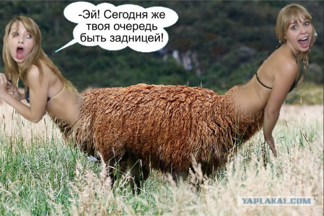Картинки