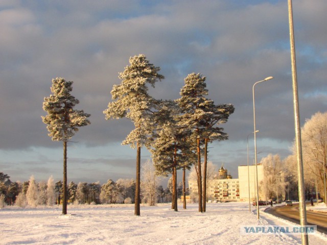 Латвия, Лиепая, район Кароста