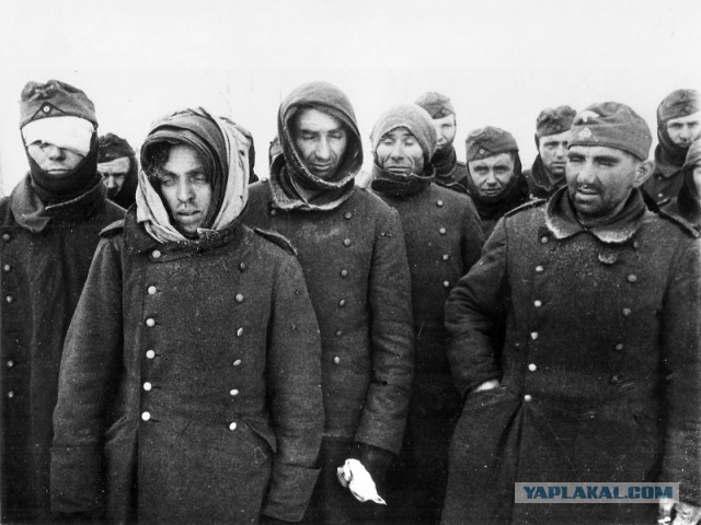 Как сдавались в плен во Второй мировой войне