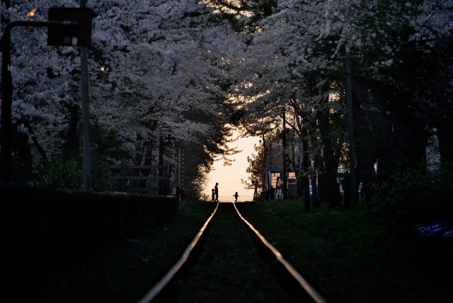 2015 National Geographic Photo Contest