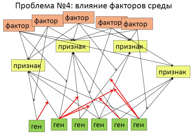 Кубанских восьмиклассников заставили смотреть фильм о телегонии и развращении граждан России