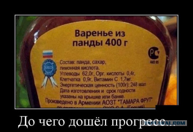 Демы без Темы