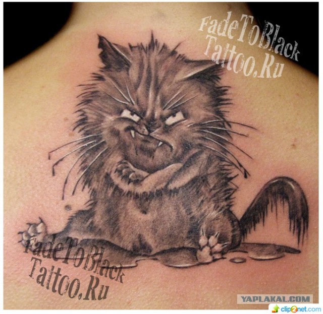 Милые кошачьи татуировки с интереснейшими идеями